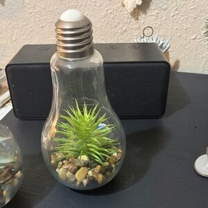 Audio Technica Glass Bulb Terrarium Set with Green Faux Plants